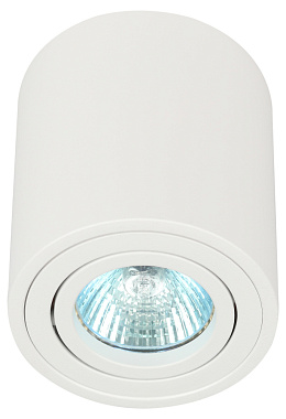 Светильник настенно-потолочный спот ЭРА OL21 WH MR16/GU10, белый, поворотный Б0054392