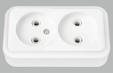 Розетка 2 ОП 16А Bylectrica Пралеска белый
