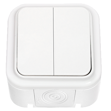 Выключатель 2 ОП брызгозащищенный IP44 Пралеска "БелТИЗ"