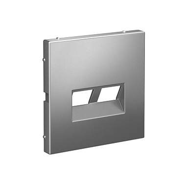 Лицевая панель розетки 2-местной для функций типа Keystone SE ArtGallery сталь