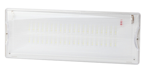 Светильник светодиодный аварийный  5Вт 3ч непостоянный 40LED IP65 ЭРА Б0044405