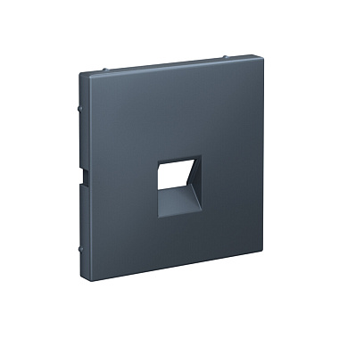 Лицевая панель розетки 1-местной для функций типа Keystone SE ArtGallery грифель