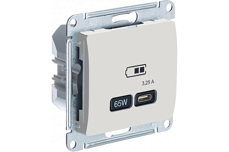 Розетка 1 СП USB тип-С 65W высокоскор.заряд QC,PD механизм SE Glossa бежевый