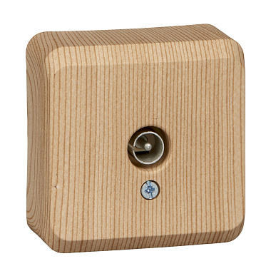 Розетка 1 ОП TV SE Этюд сосна