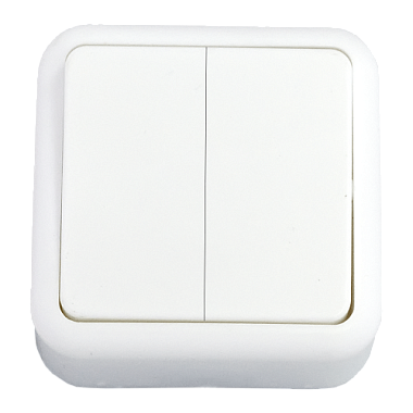 Выключатель 2 ОП "БелТИЗ"