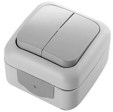Выключатель 2 ОП IP54 10А Viko Palmiye серый
