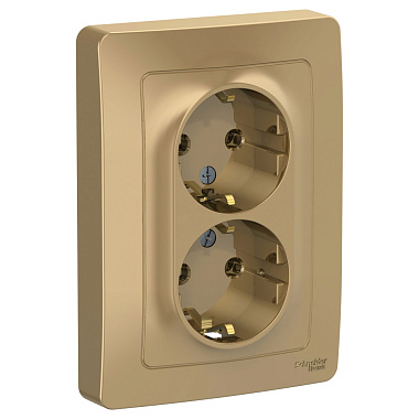 Розетка с заземлением 2 СП 16А SE Blanca титан