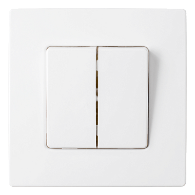 Выключатель двухклавишный Мастер "БелТИЗ"