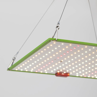 Фитопрожектор светодиодный ЭРА FITO-80W-LED-QB квантум борд Б0053285