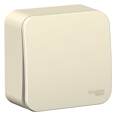 Выключатель 1 ОП 10А SE Blanca молочный