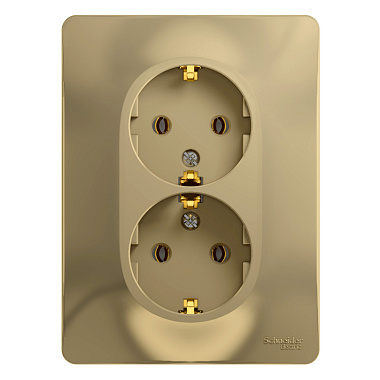 Розетка с заземлением 2 СП 16А SE Glossa титан