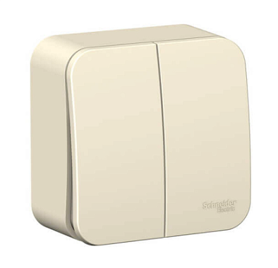 Выключатель 2 ОП 10А cх.5 SE Blanca молочный