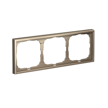 Рамка 3-постовая универсальная SE ArtGallery шампань