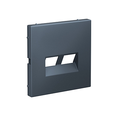 Лицевая панель розетки 2-местной для функций типа Keystone SE ArtGallery грифель