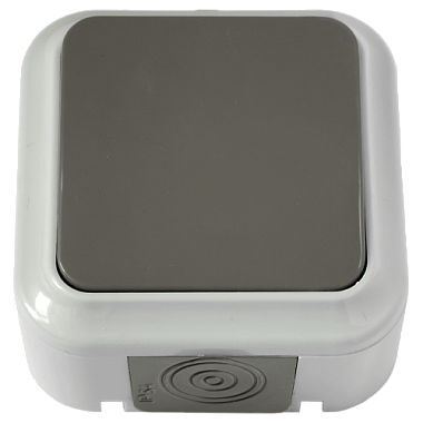 Выключатель одноклавишный брызгозащищенный открытой установки Пралеска ( Аква) "БелТИЗ"