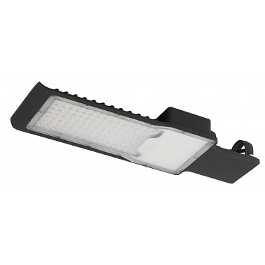 Светильник уличный светодиодный 100Вт 5000К IP65 10000Лм КСС "Ш" 48мм ЭРА  Б0043663