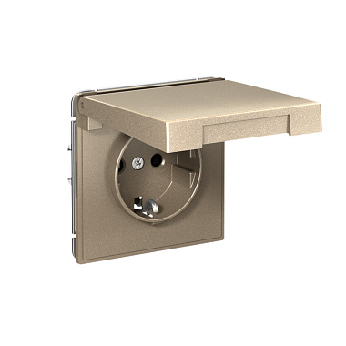 Розетка с заземлением 1 СП 16А с з/шт с крышкой механизм безвинт. зажим IP20 SE ArtGallery шампань