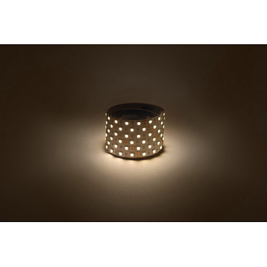 Лента светодиодная 5050 14,4Вт/м IP20 12V 60LED/м 2700К 5м ЭРА Б0044116