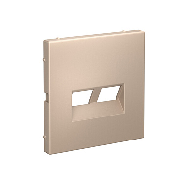 Лицевая панель розетки 2-местной для функций типа Keystone SE ArtGallery песочный