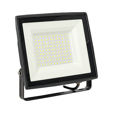 Прожектор светодиодный 100Вт 6500К IP65 8000Лм черный EKF Basic