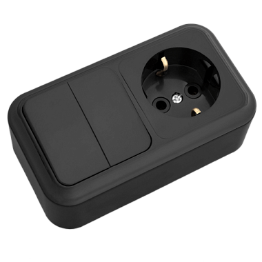 Блок комб. ОП (2кл.выкл.+роз.с з/к) Пралеска "БелТИЗ"