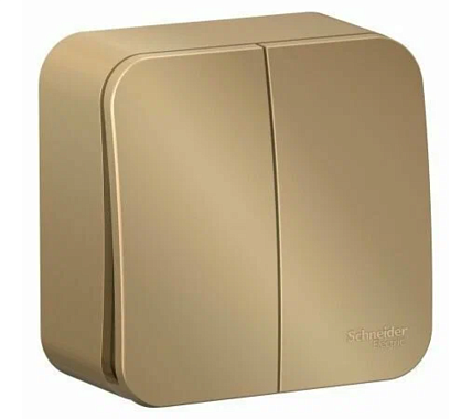 Выключатель 2 ОП 10А cх.5 SE Blanca титан