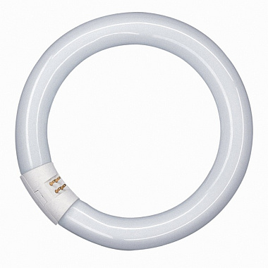 Лампа люм. G10q 32Вт 4000К кольцевая Osram