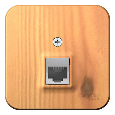 Розетка 1 ОП комп. RJ45 кат.5e (изол.пл.) SE Blanca ясень