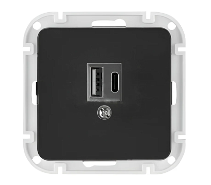 Розетка 1 СП USB A+тип-С 3А механизм Bylectrica Astrum карбон