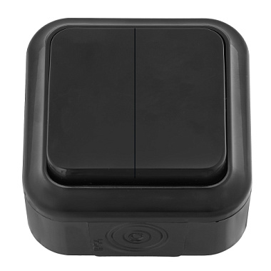 Выключатель 2 ОП брызгозащищенный IP44 Пралеска "БелТИЗ"