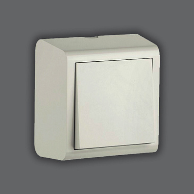 Выключатель 1 ОП 10А Ovivo Nivo белый
